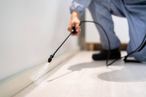 Licensed Fumigation Services service in Newark, NJ - Nex Pest Control