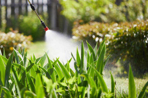 24/7 Emergency Fumigation Services experts in Newark, NJ