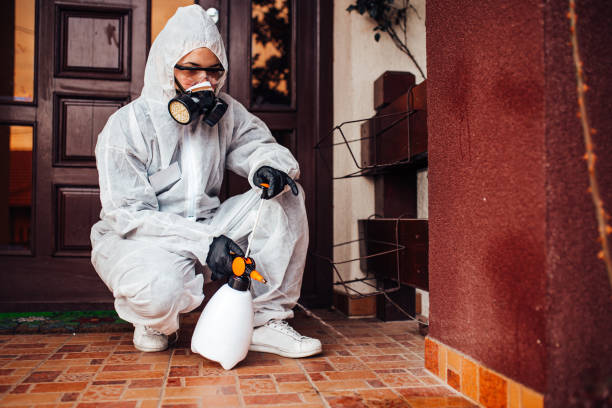 Reliable Fumigation Services contractor in Newark, NJ by Nex Pest Control