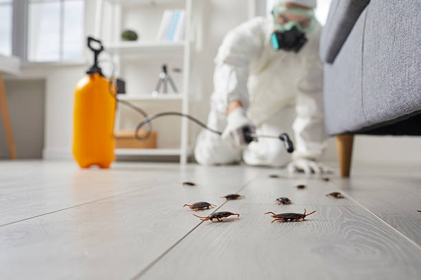 Trusted Fumigation Services service in Newark, NJ - Nex Pest Control