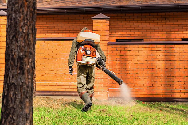Trusted Rodent Control service in Newark, NJ - Nex Pest Control